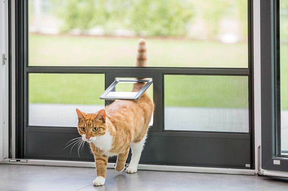 Insektenschutz mit Klappe für Katze