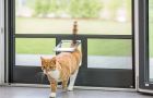 Insektenschutz mit Klappe für Katze